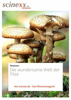 Die wundersame Welt der Pilze (eBook, ePUB) - Podbregar, Nadja