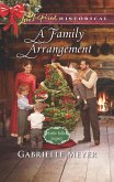 A Family Arrangement (Mills & Boon Love Inspired Historical) (Little Falls Legacy, Book 1) (eBook, ePUB)
