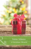 A Christmas Miracle (Smoky Mountains, Tennessee, Book 3) (Mills & Boon Heartwarming) (eBook, ePUB)