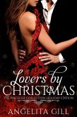 Lovers by Christmas (The Priceless Collection, #3) (eBook, ePUB)