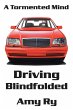 Driving Blindfolded - Bild 1