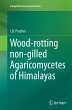 Wood-rotting non-gilled Agaricomycetes... - Bild 1