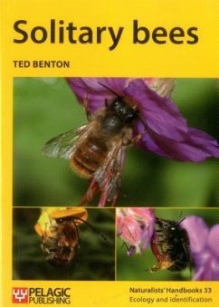 Solitary Bees - Benton, Ted