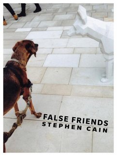 False Friends - Cain, Stephen