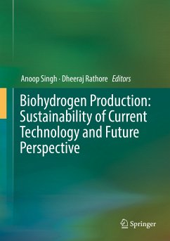Biohydrogen Production: Sustainability of Current Technology and Future Perspective (eBook, PDF)