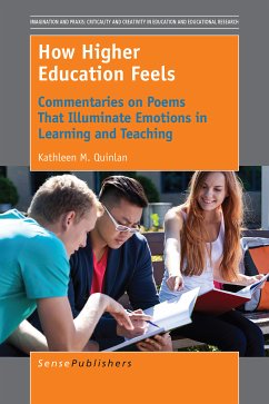 How Higher Education Feels (eBook, PDF) - Quinlan, Kathleen M.