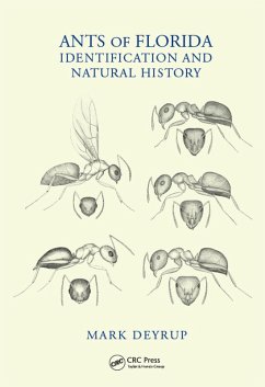 Cover Ants of Florida (eBook, ePUB)