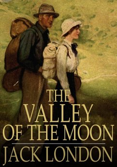 Cover Valley of the Moon (eBook, ePUB)