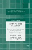 Data Thieves in Action (eBook, PDF)
