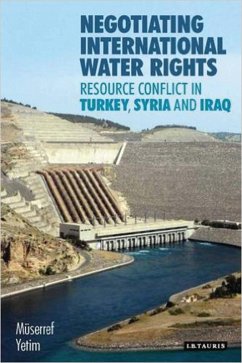 Negotiating International Water Rights (eBook, PDF) - Yetim, Muserref