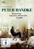 Peter Handke - Bin im Wald. Kann sein, dass ich mich verspäte