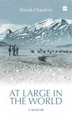 At Large in the World (eBook, ePUB)