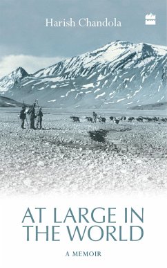 Cover At Large in the World (eBook, ePUB)