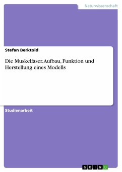 Die Muskelfaser. Aufbau, Funktion und Herstellung eines Modells (eBook, ePUB)