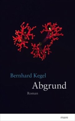 Abgrund - Kegel, Bernhard