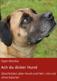 Ach du dicker Hund (eBook, ePUB)