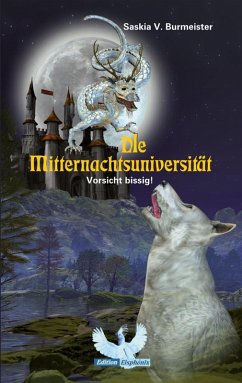 Die Mitternachtsuniversität (eBook, ePUB) - Burmeister, Saskia