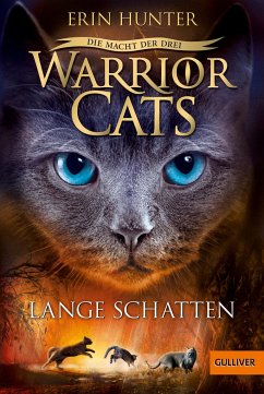 Lange Schatten / Warrior Cats Staffel 3 Bd.5 - Hunter, Erin