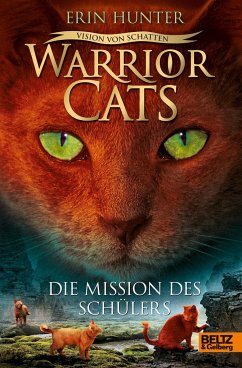 Vision von Schatten. Die Mission des Schülers / Warrior Cats Staffel 6 Bd.1 - Hunter, Erin