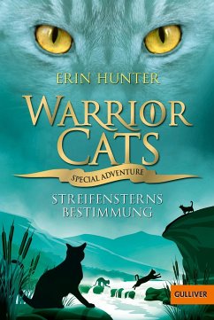 Streifensterns Bestimmung / Warrior Cats - Special Adventure Bd.4 - Hunter, Erin