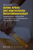 Intime Arbeit und migrantische Unternehmerschaft (eBook, PDF)