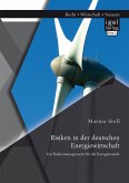 Risiken in der deutschen Energiewirtschaft. Ein Risikomanagement für die Energiewende (eBook, PDF)
