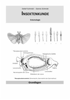 Insektenkunde (eBook, ePUB) - Schmidt, Detlef