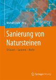 Sanierung von Natursteinen (eBook, PDF)