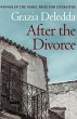 After the Divorce (eBook, ePUB) - Bild 1