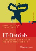 IT-Betrieb (eBook, PDF)