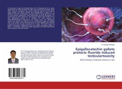 Epigallocatechin gallate protects fluoride induced testiculartoxicity