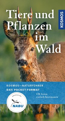 Tiere und Pflanzen unserer Wälder (eBook, ePUB) - Wilhelmsen, Ute