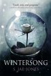 Wintersong - Bild 1