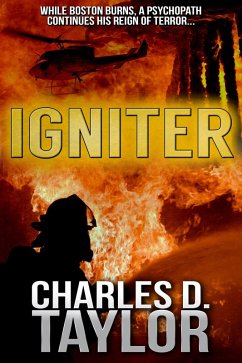 Cover Igniter (eBook, ePUB)