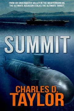 Cover Summit (eBook, ePUB)