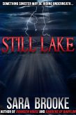 Still Lake (eBook, ePUB)