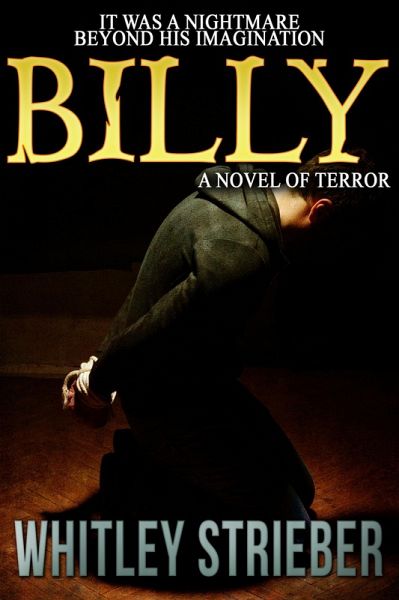 Billy (eBook, ePUB)