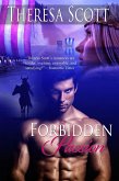 Forbidden Passion (eBook, ePUB)