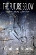 The Future Below (eBook, ePUB) - Bild 1