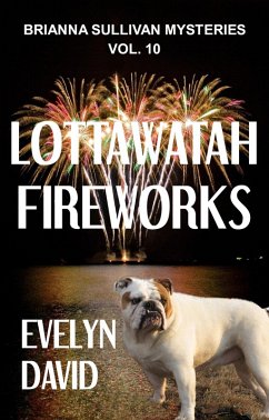 Cover Lottawatah Fireworks (Brianna Sullivan Mysteries, #10) (eBook, ePUB)
