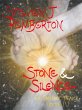 Stone & Silence (eBook, ePUB) - Bild 1