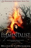 Elementalist (eBook, ePUB)