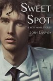 Sweet Spot: The Petit Mort Stories (eBook, ePUB)