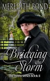 Bridging the Storm (eBook, ePUB)