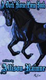 A Dark Horse Poem Book (Wild Horse Series, #1) (eBook, ePUB)