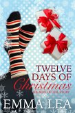Twelve Days of Christmas - His Side of the Story (eBook, ePUB)