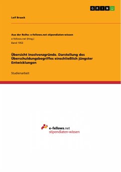 Übersicht Insolvenzgründe. Darstellung des Überschuldungsbegriffes einschließlich jüngster Entwicklungen (eBook, PDF)