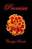 Promises (eBook, ePUB)