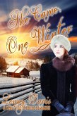 She Came One Winter (The Brides Of Courage, Kansas, Book 2) (eBook, ePUB)