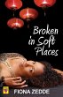 Broken in Soft Places (eBook, ePUB) - Bild 1